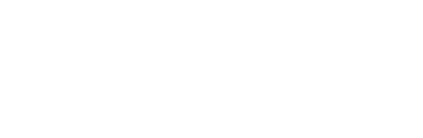 DMSG Schleswig-Holstein